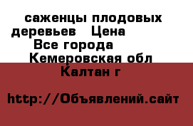 саженцы плодовых деревьев › Цена ­ 6 080 - Все города  »    . Кемеровская обл.,Калтан г.